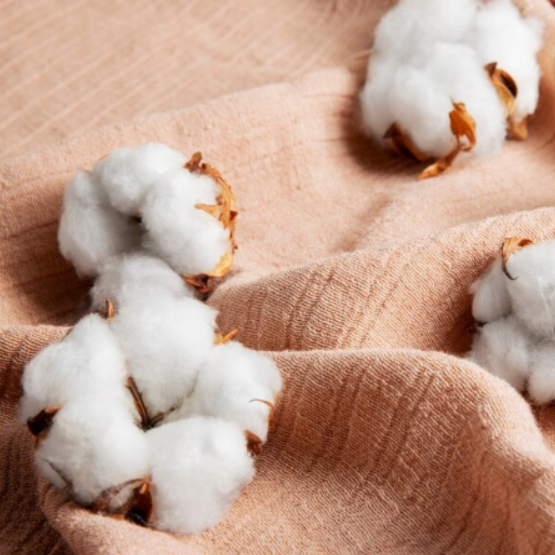 Design Canva Minimalista - Alessandra Gasparin | Hotmart, image size:1080x1080