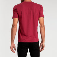 Camiseta Algodão Premium Gola V Masculina | Everyday Collection - Tinto