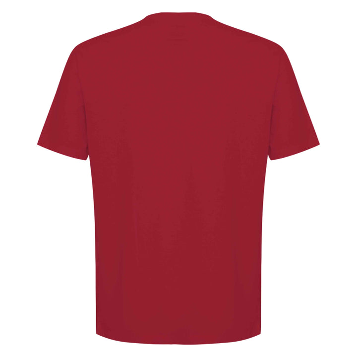 Camiseta Algodão Premium Gola V Masculina | Everyday Collection - Vermelho Rubi