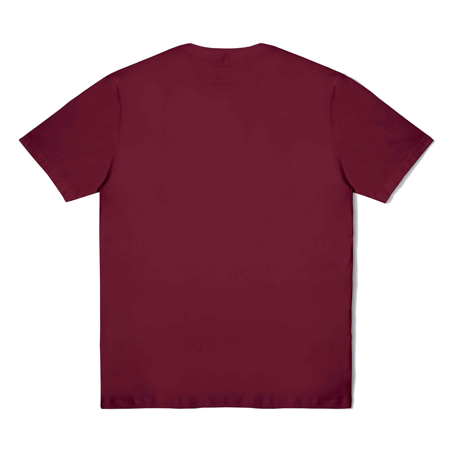 Camiseta Algodão Premium Gola V Masculina | Everyday Collection - Marsala